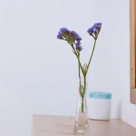 Lejlighedshotel Taeri Sifnos 4*